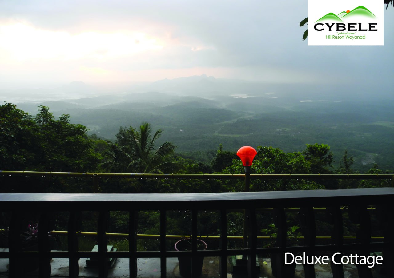 Deluxe Cottage View 5